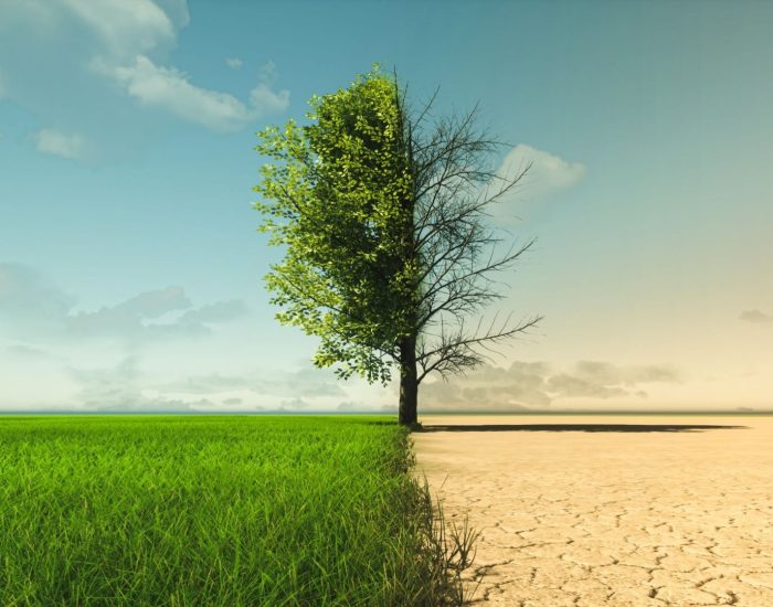 shutterstock_2039911790